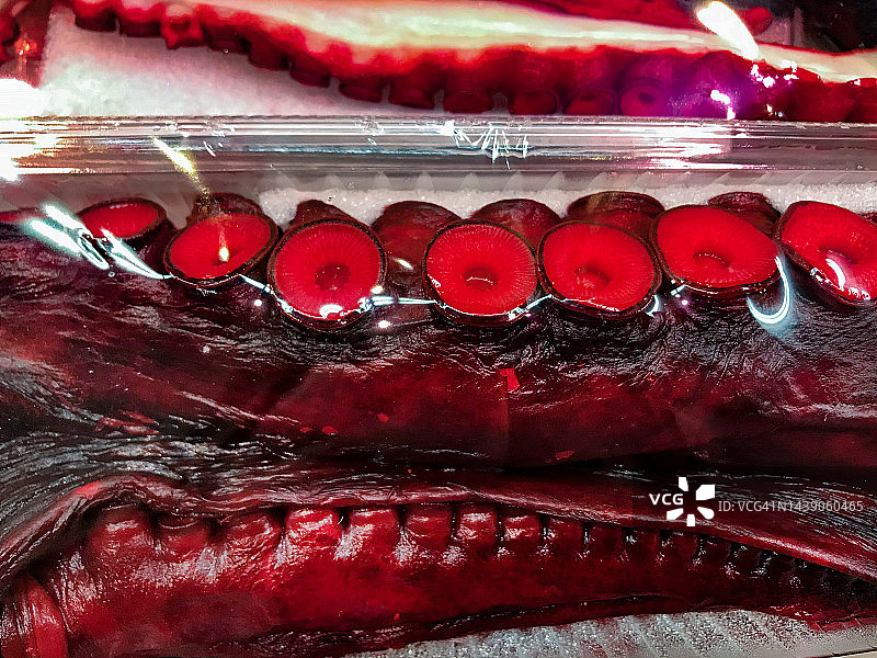 保鲜膜包裹的醋腌章鱼触手图片素材