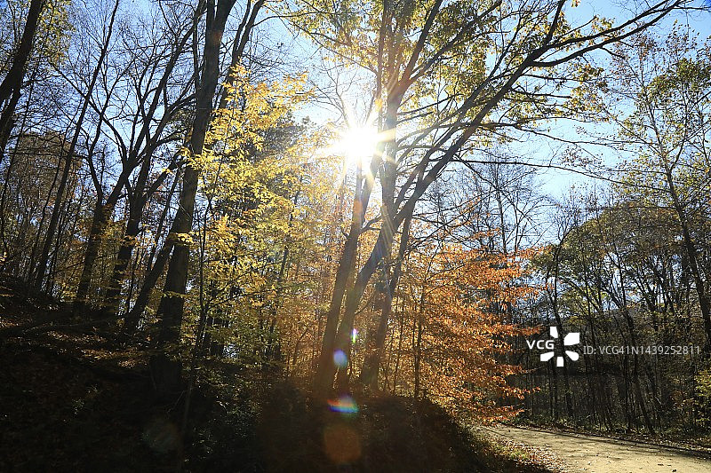 秋日荒野中的耀眼阳光图片素材