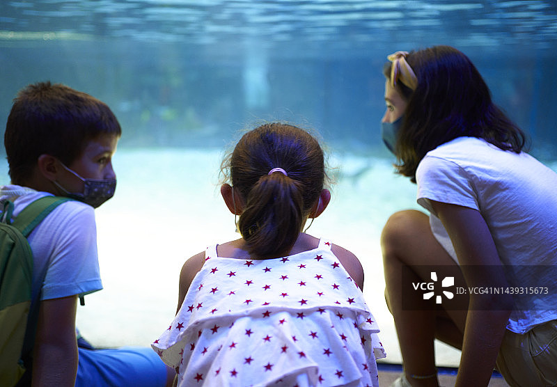 三个孩子在度假时聊天和观看水族馆里的鱼图片素材