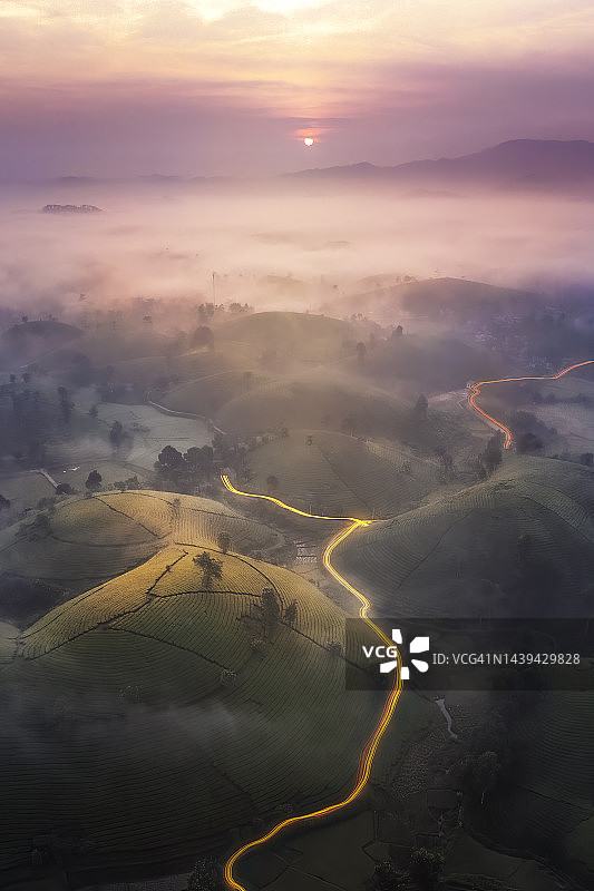 越南北部山区茶园的垂直顶视图，早晨阳光升起，雾气流动图片素材