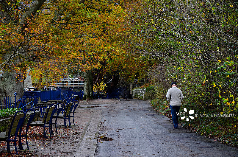 独自漫步图片素材