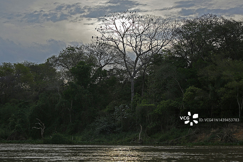 日落时分的库亚巴河图片素材