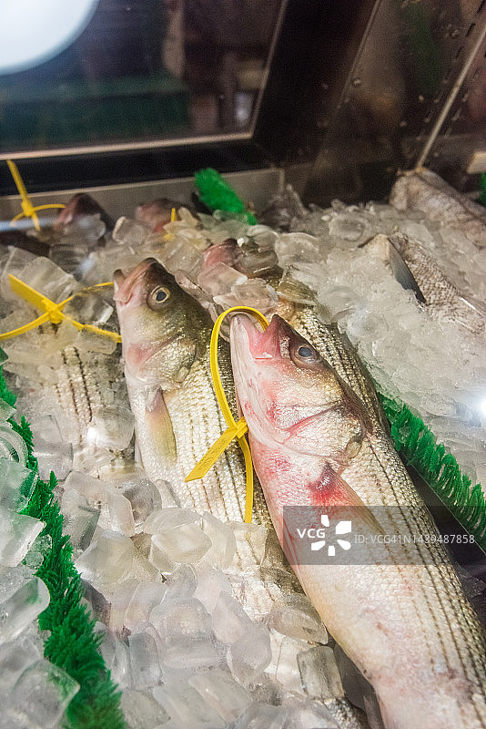 鱼店出售的条纹鲈鱼图片素材