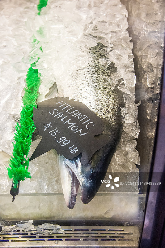 鱼贩处出售的大西洋鲑鱼图片素材