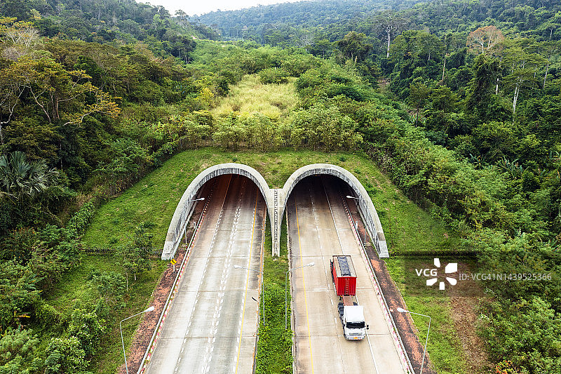 野生动物廊道或野生动物通道，以及走廊下方道路上的交通图片素材