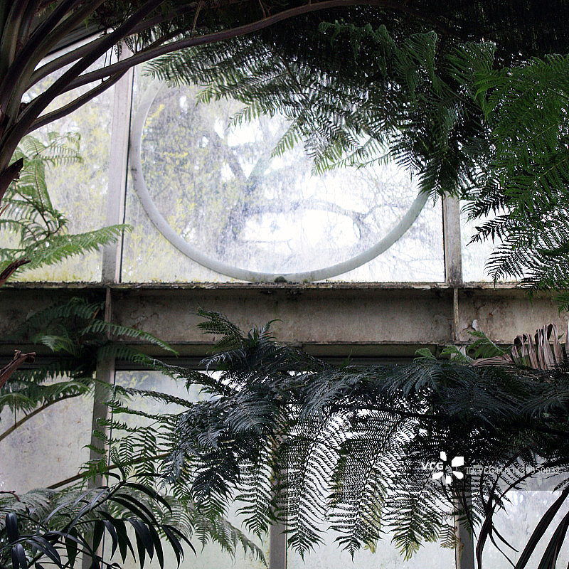 日内瓦植物园的温室图片素材