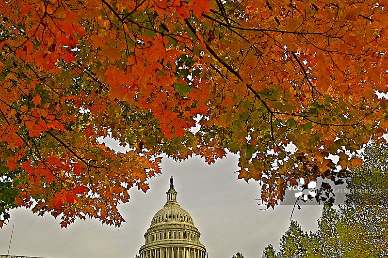 秋季的美国国会大厦（HDR）图片素材