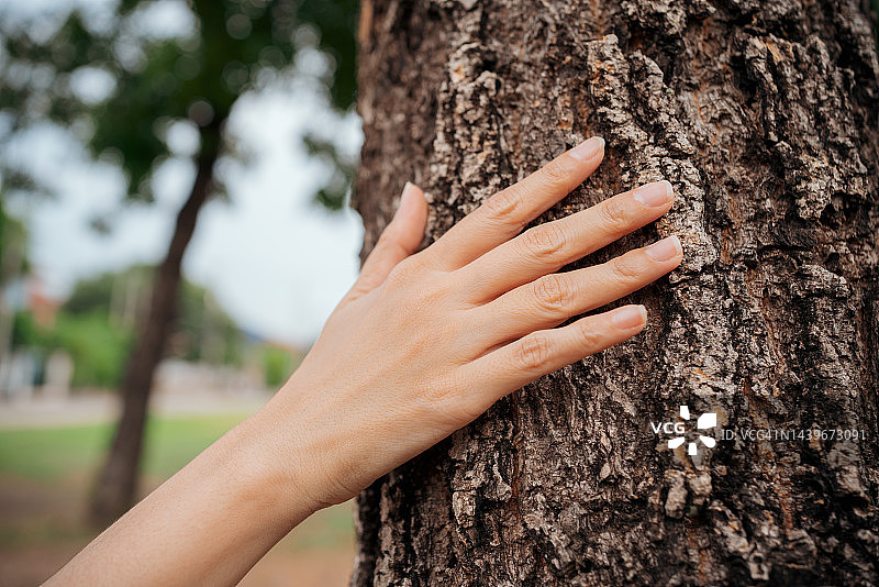 女人在公园触摸树木，环保图片素材