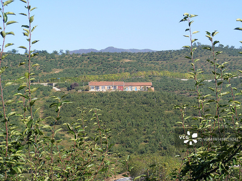 中国东北的贷款农家小屋图片素材