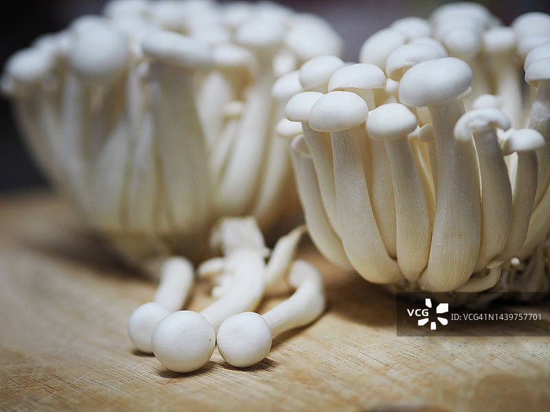 白色真姬菇蔬菜食物背景图片素材