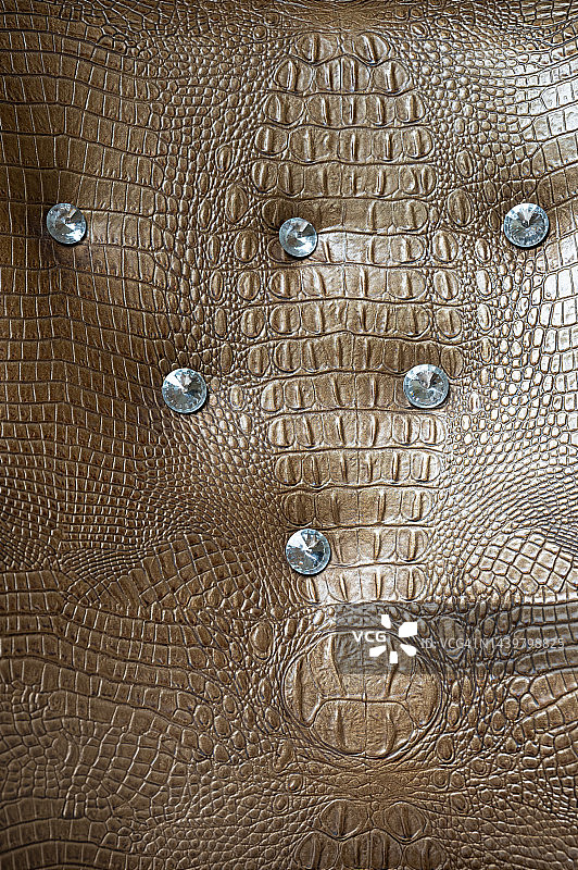 鳄鱼皮图案真皮纹理背景图片素材