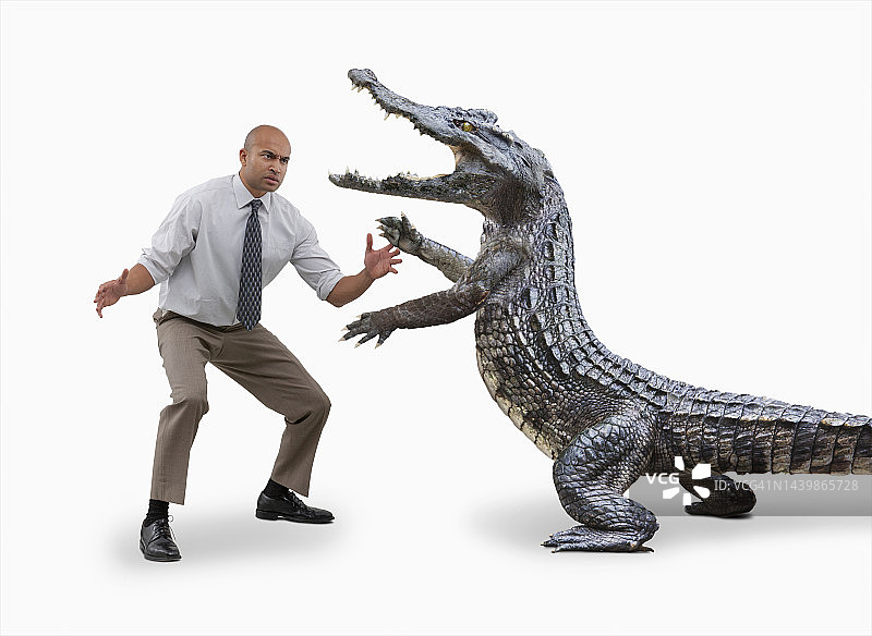 摔跤鳄鱼图片素材