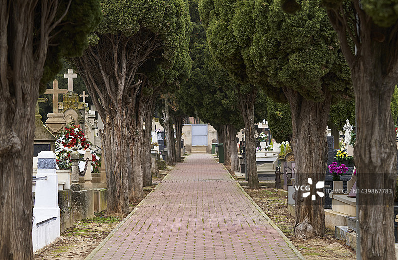 墓地树木的入口或路径，从正面角度看，墓碑上有一些花图片素材