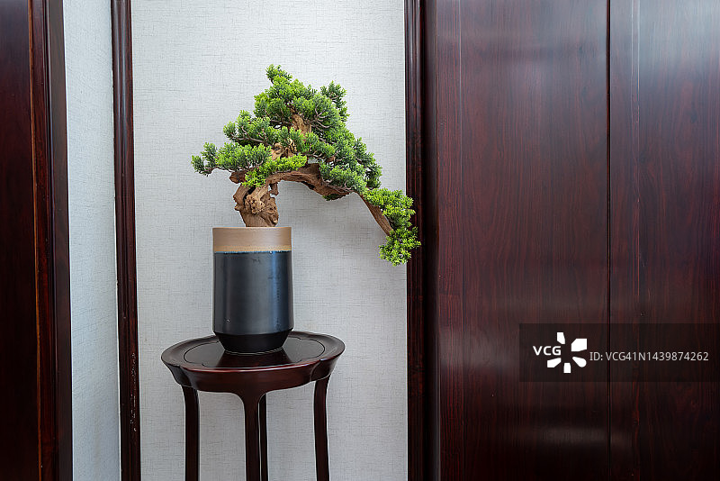 花架上的盆景图片素材