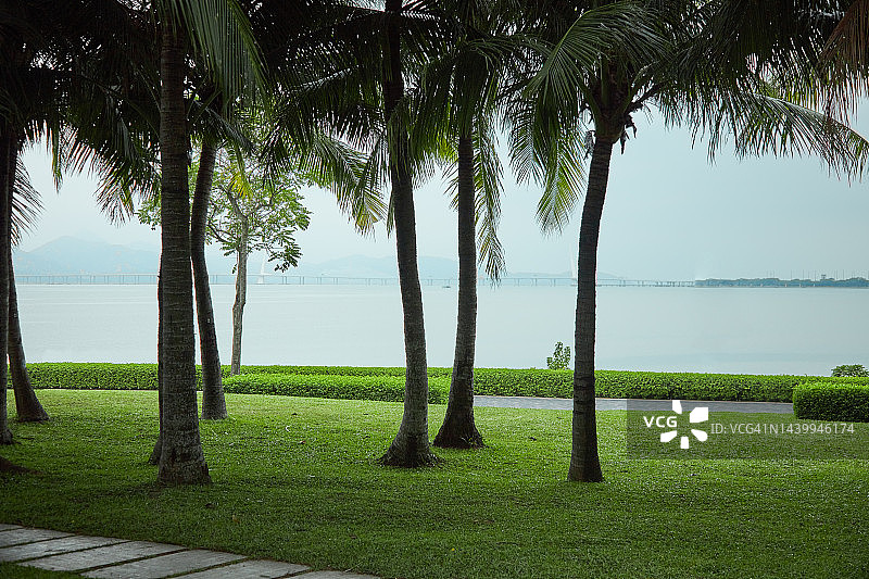 深圳湾公园图片素材