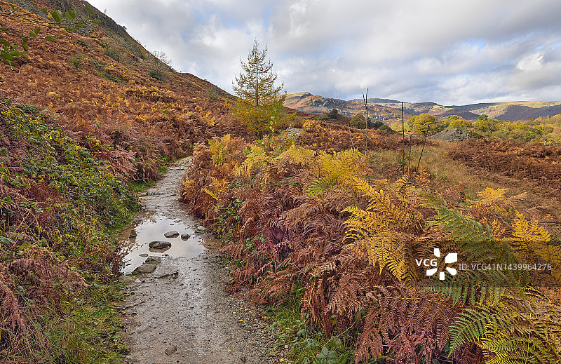 赖德尔湖的风景图片素材