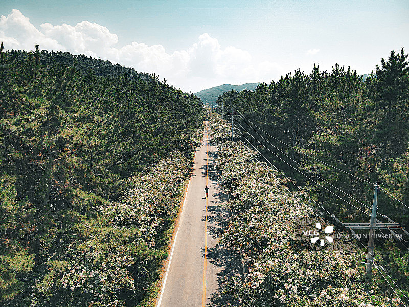 忠清南道泰安郡鹤甘浦图片素材