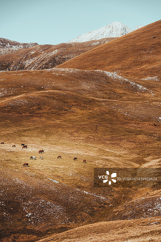 因佩拉托雷草原，格兰萨索和莱加山国家公园日落景观，意大利阿布鲁佐，野马图片素材