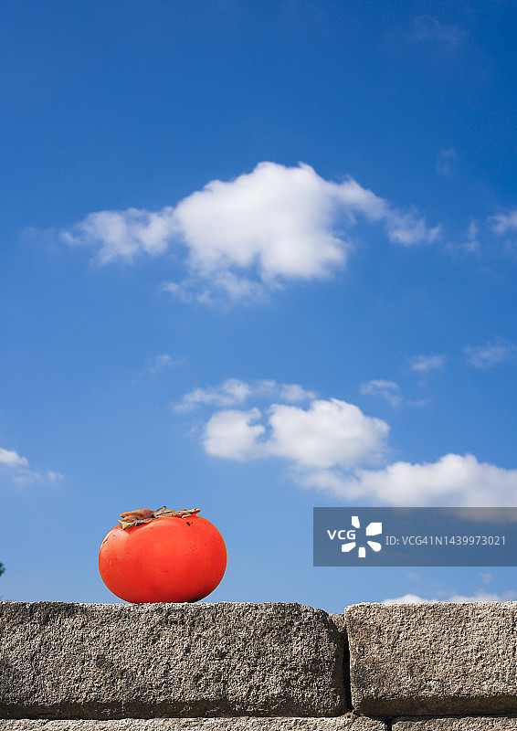 色彩鲜艳的健康柿子图片素材