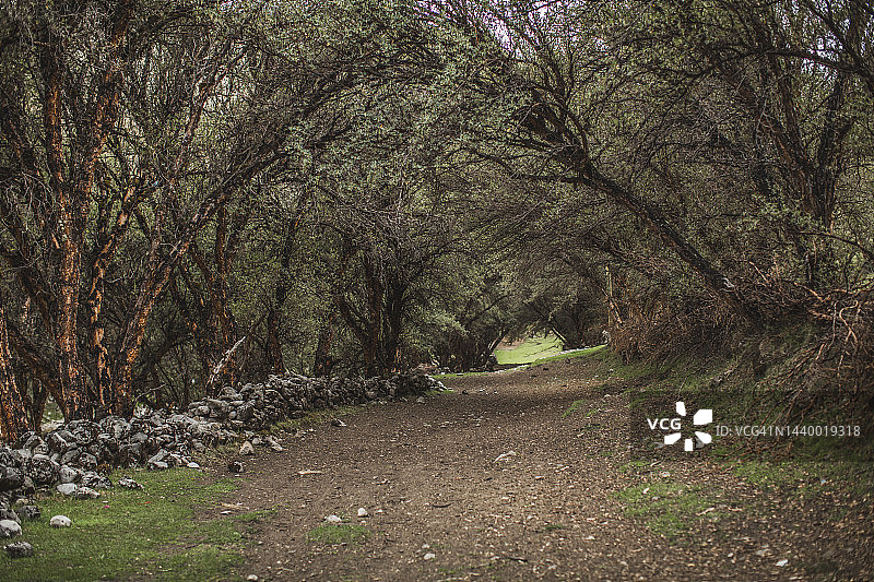 卡帕克尼安 - 卡斯蒂略 (安卡什) 至瓦努科潘帕 (瓦努科) - 秘鲁图片素材