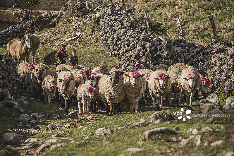 卡帕克尼安 - 卡斯蒂略 (安卡什) 至瓦努科潘帕 (瓦努科) - 秘鲁图片素材