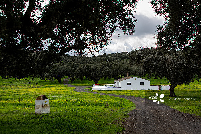 小型乡村住宅图片素材