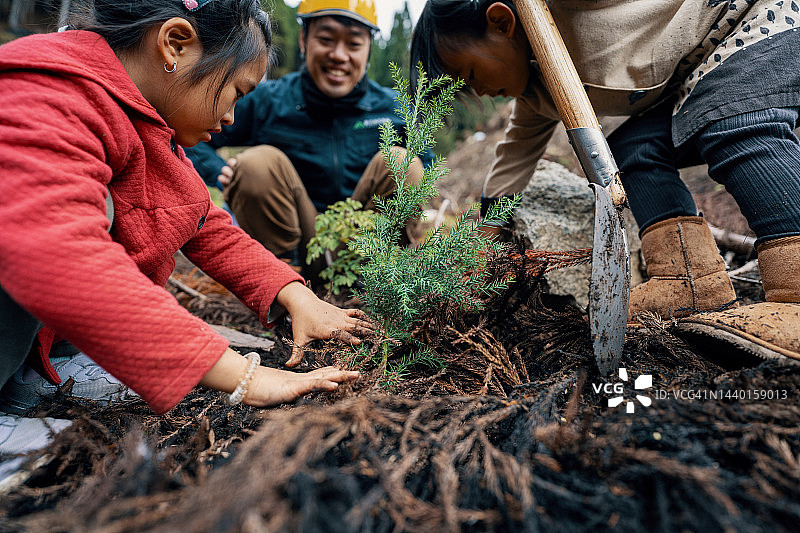林业工人和两个小女孩一起植树图片素材