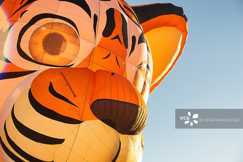 老虎热气球在国际气球节上空中飞行的特写，美国新墨西哥州阿尔伯克基图片素材
