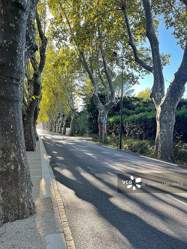 法国普罗旺斯阿尔卑斯蓝色海岸，帕拉杜和莫萨讷莱阿尔皮耶之间的空旷道路图片素材