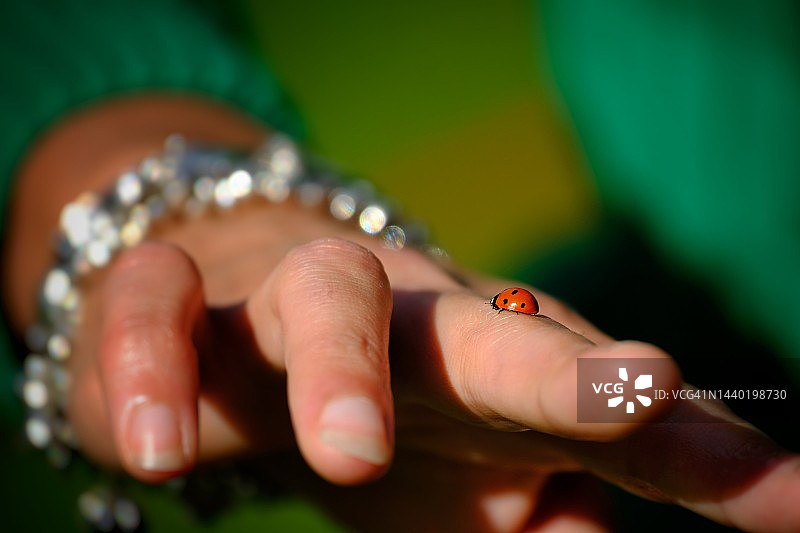 瓢虫给女孩的手指带来红色好运图片素材
