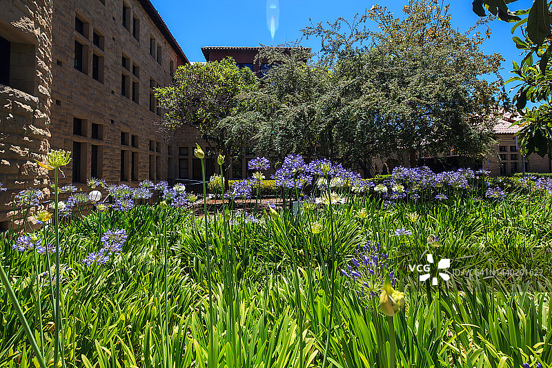 美国加州大学图片素材