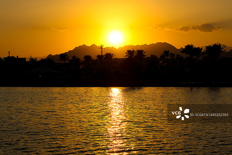 埃及西奈：沙姆沙伊赫海滨日落与棕榈树图片素材