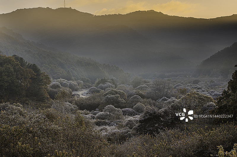 江原道麟蹄郡秘密花园图片素材