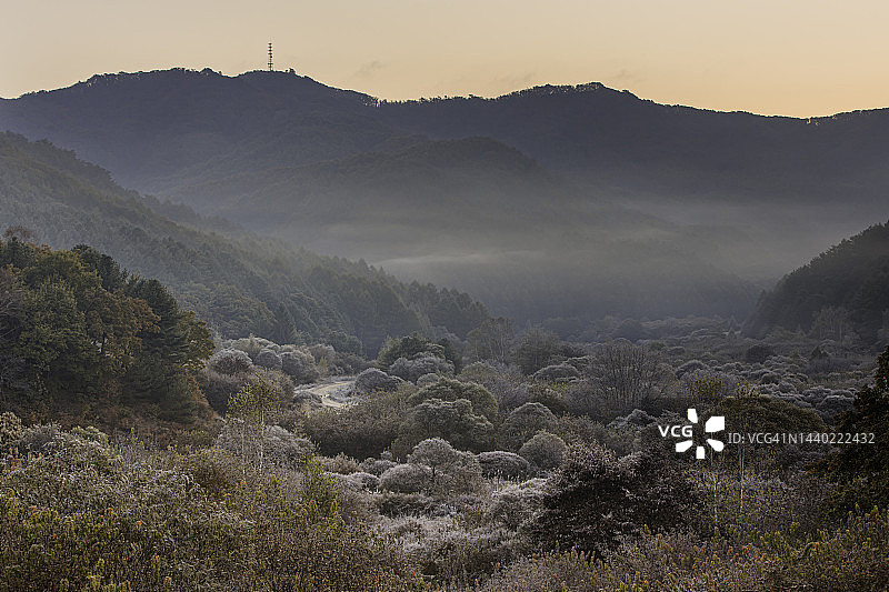 江原道麟蹄郡秘密花园图片素材