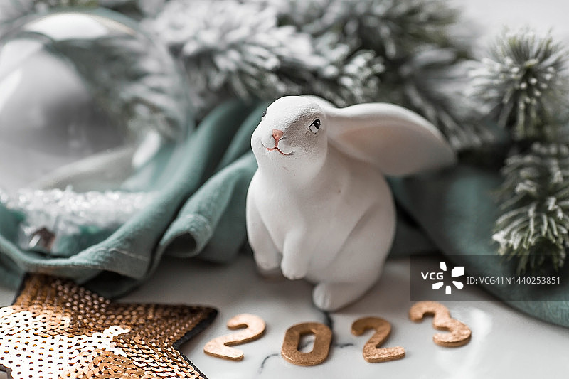 新年快乐和圣诞节的概念，2023年白色兔子贺卡图片素材