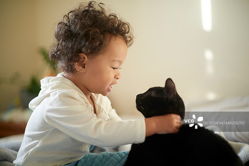 孩子与猫咪在卧室床上亲密互动，享受快乐时光图片素材