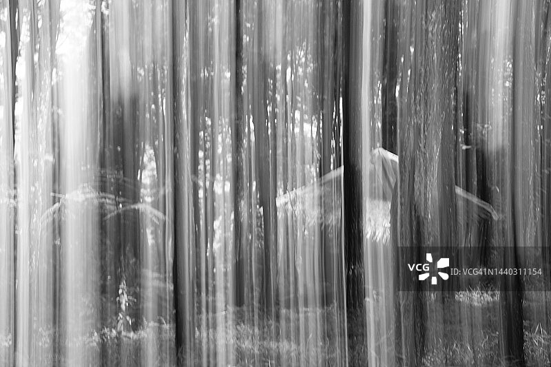 黑白相机动态摄影图片素材