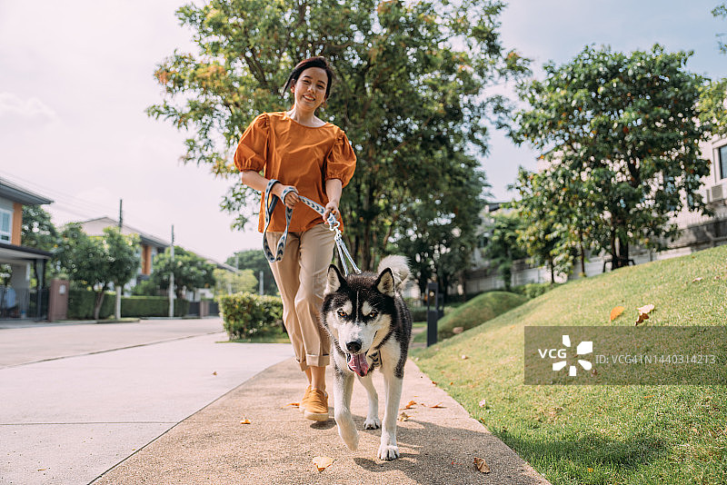 充满爱意地抚摸她的狗的亚洲女性图片素材