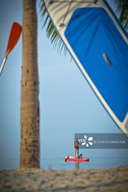 在海里图片素材