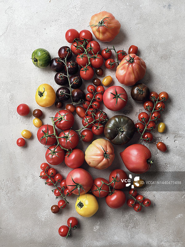灰色背景上的各种番茄静物图片素材