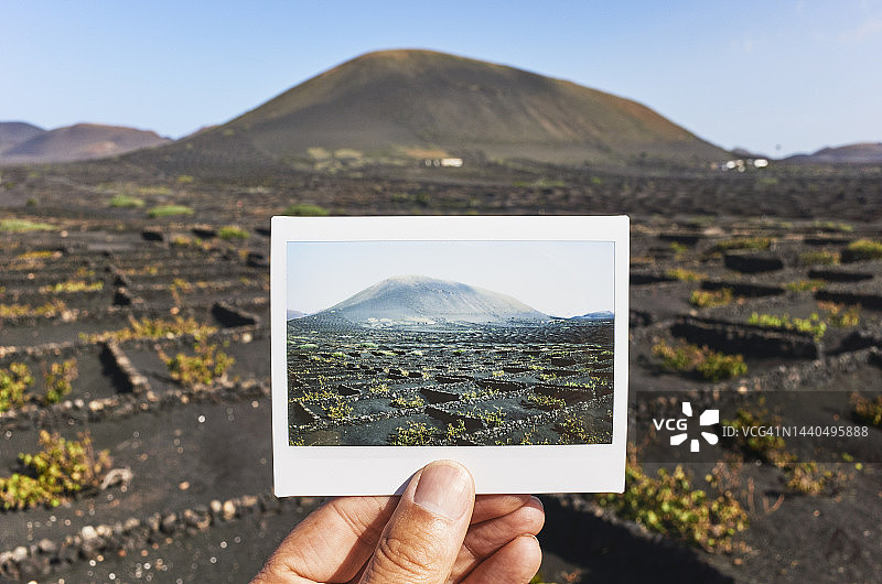男人在火山景观的葡萄园前拿着一张即时照片图片素材