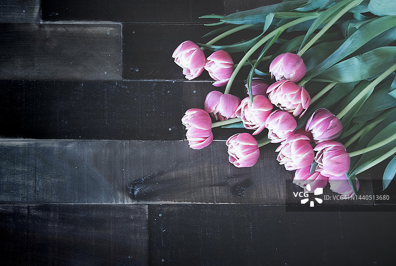 带有纹理木材和郁金香的可定制背景模板图片素材
