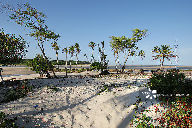 Marajó巴西亚马逊岛图片素材