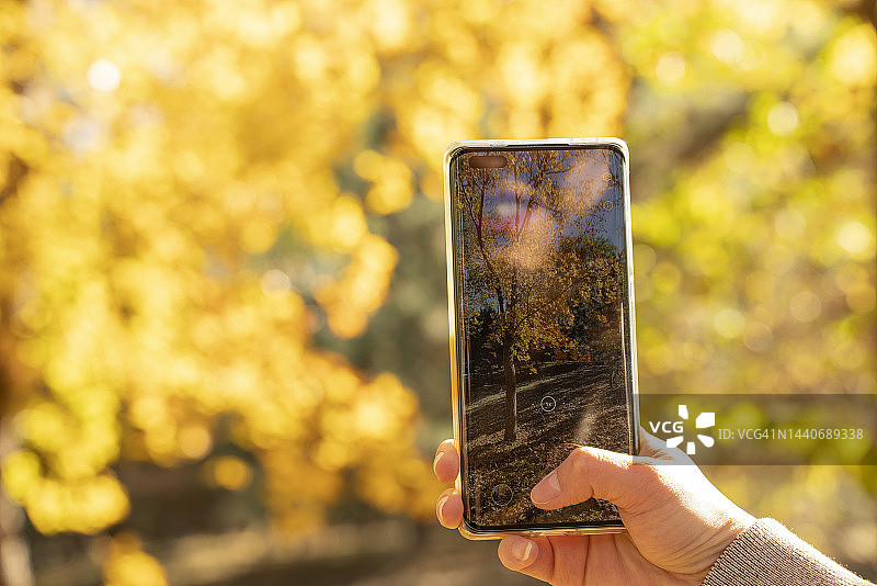 用手机拍照图片素材