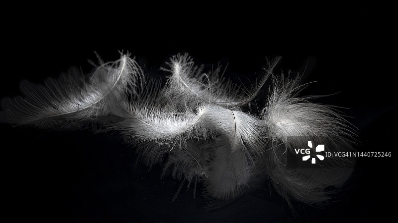 五根羽毛图片素材