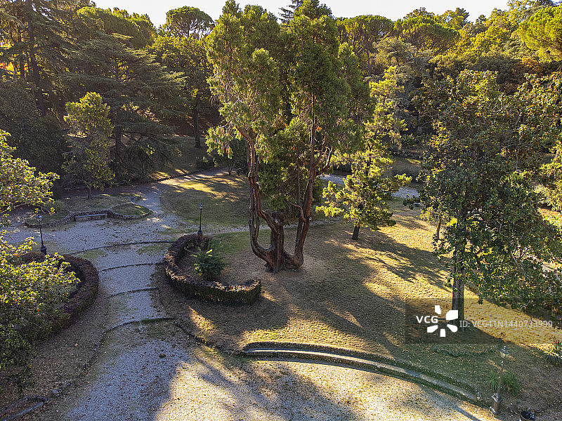 科利大街，波波利诺花园图片素材