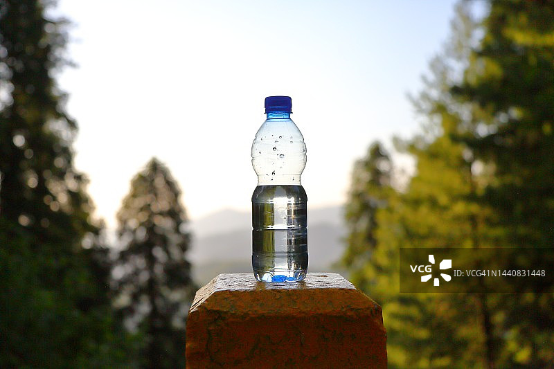 光线和树木下的矿泉水瓶图片素材