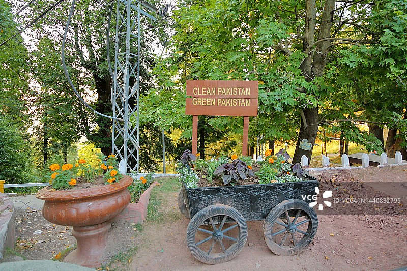 路边的盆栽金盏花和花车装饰图片素材