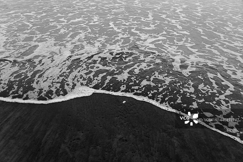 海岸上的海螺黑白图像图片素材