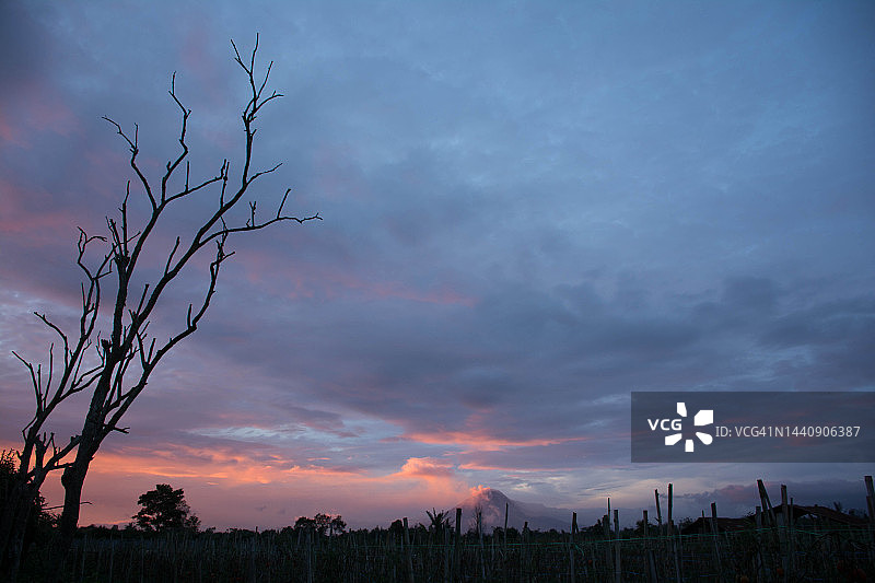 绿色草甸和蓝天，以锡纳朋火山为背景图片素材